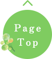 Page Top